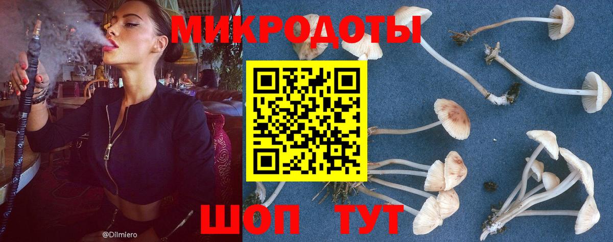 Псилоцибиновые грибы MAGIC MUSHROOMS  Вход с VPN  Полевской  Галлюциногенные грибы GOLDEN TEACHER 